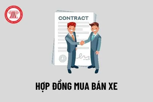 Mẫu hợp đồng mua bán xe máy ô tô cũ năm 2026