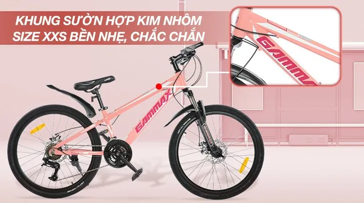 Xe đạp địa hình MTB Gammax 24-Qingwei-21S chinh phục mọi cung đường