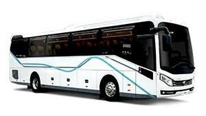 Xe 45 chỗ Hi-class phục vụ đoàn khách đám cưới quy mô lớn