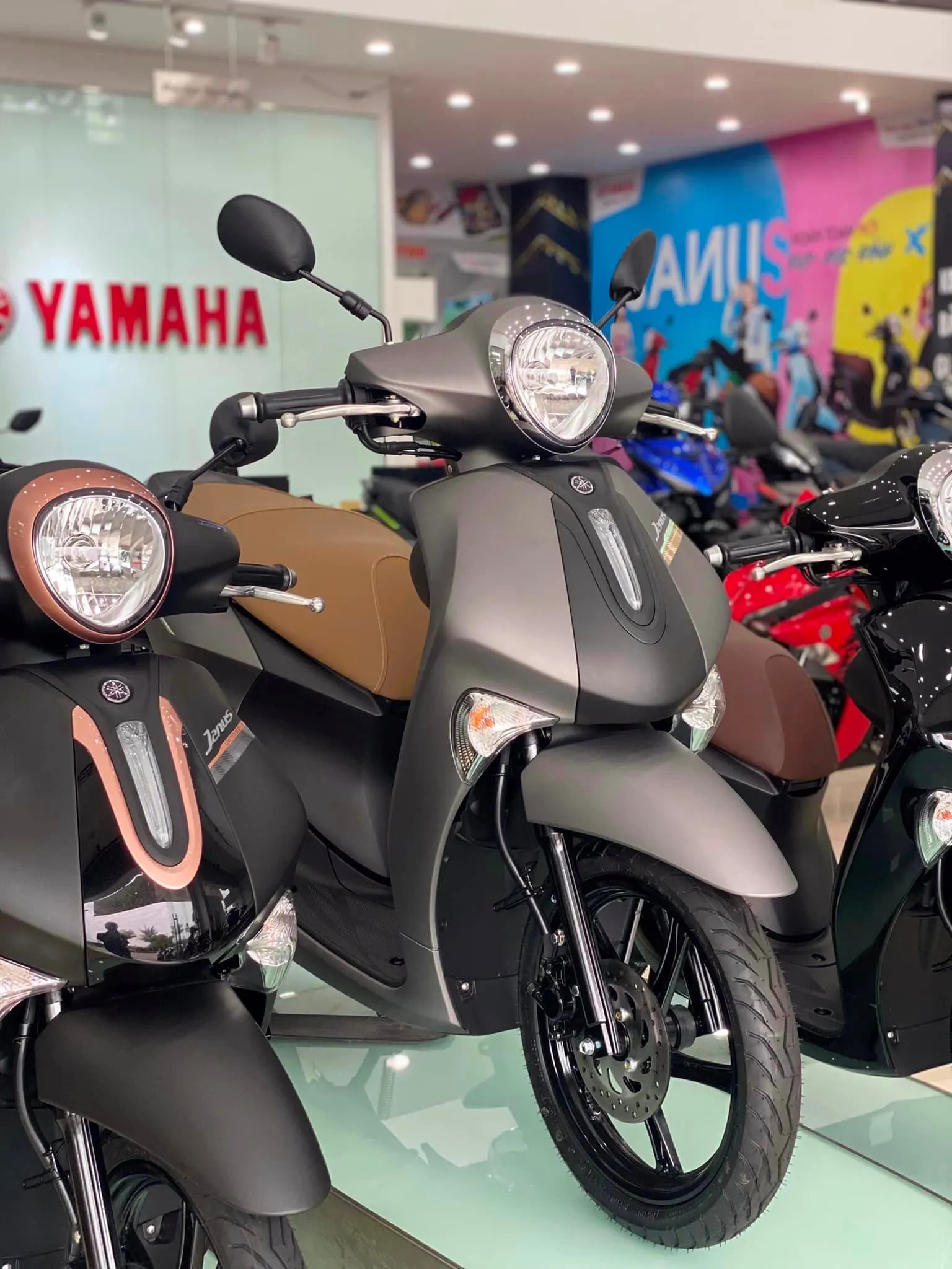 Yamaha Janus giảm giá sốc