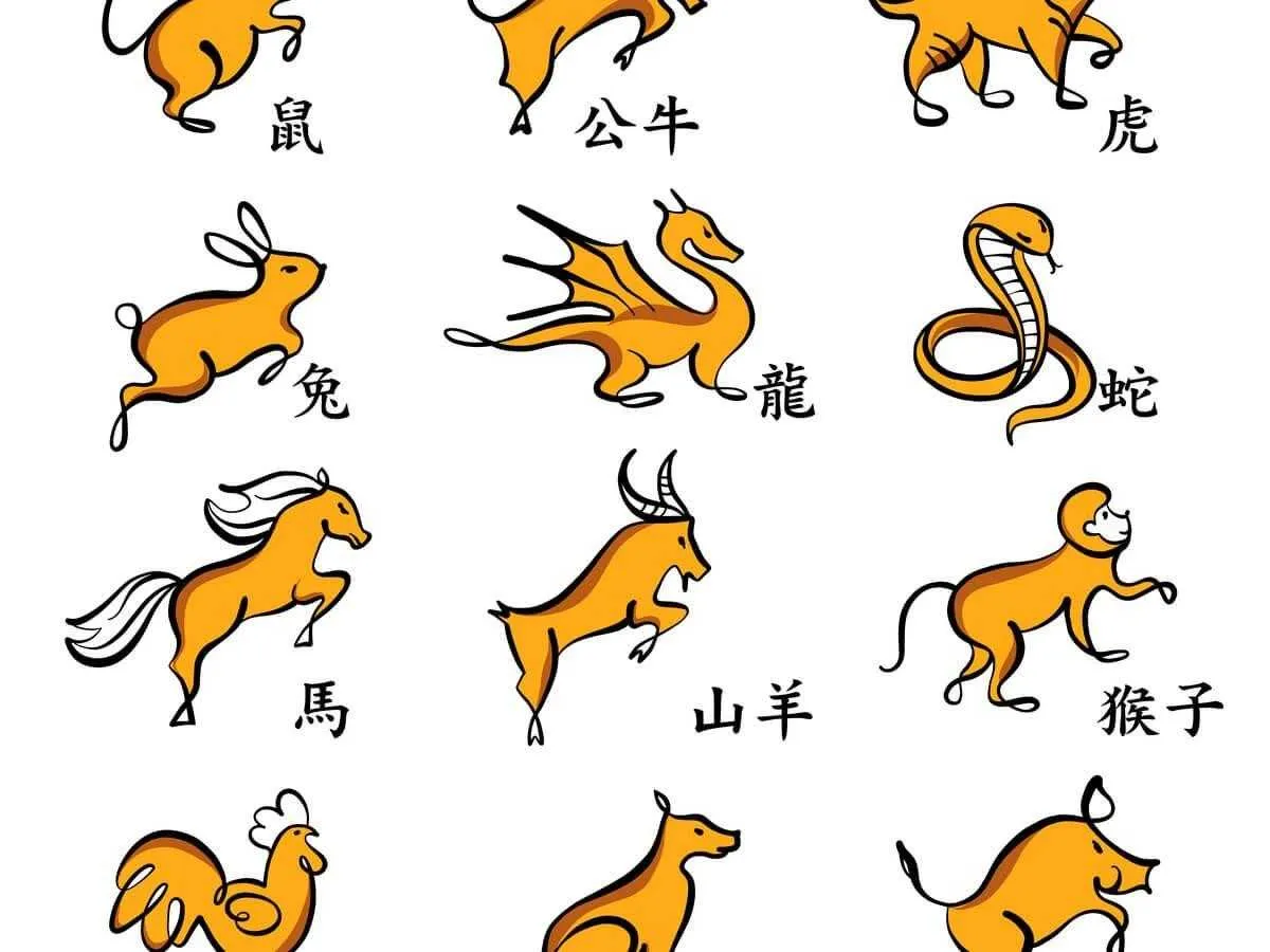 Năm tuổi có nên mua xe không - Những điều lưu ý 2023