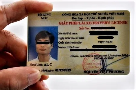 Mẫu giấy phép lái xe ô tô hiện hành theo quy chuẩn của Bộ Giao thông vận tải Việt Nam