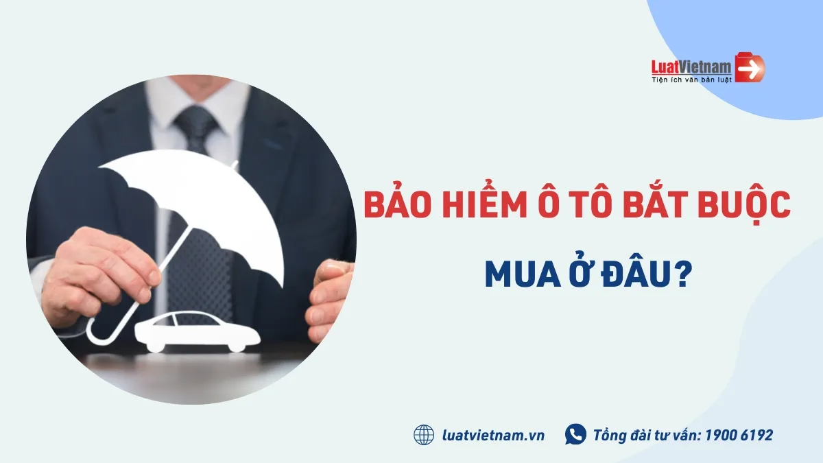 Cảnh báo về việc mua bảo hiểm ô tô bắt buộc đúng loại