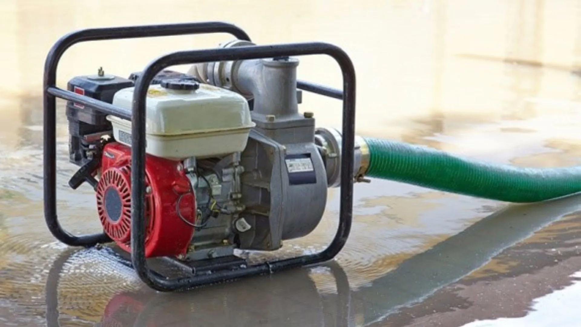 Máy bơm nước ly tâm với động cơ điện