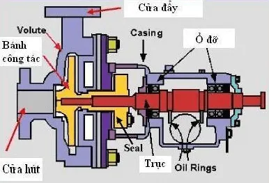 Sơ đồ cấu tạo chi tiết các bộ phận máy bơm nước động cơ xăng 2026