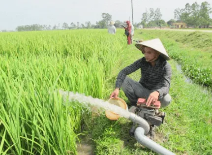 Ứng dụng thực tế của máy bơm nước chạy xăng trong cứu hộ vận tải 2026