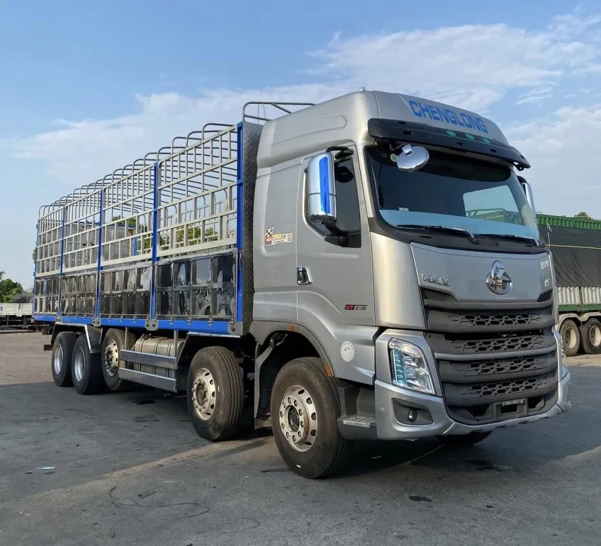 chenglong5-chan-2022