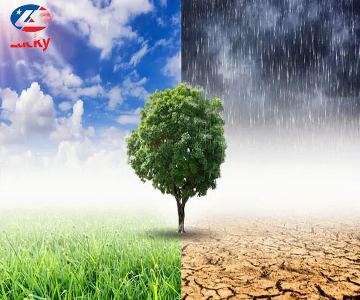 Thời tiết nóng ẩm và bụi bẩn tại Việt Nam là yếu tố tác động lớn đến chất lượng dầu