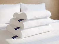 Gối cao su Contour nâng đỡ cổ vai gáy chuyên sâu