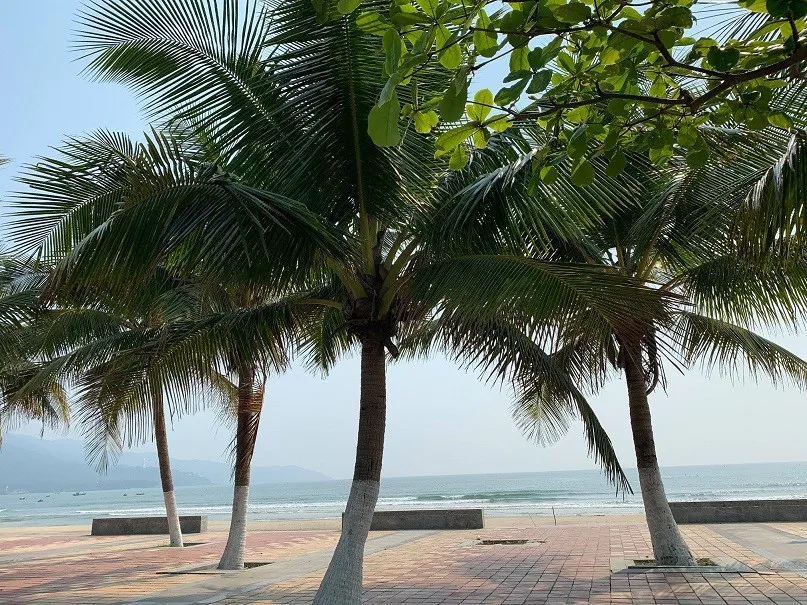 Cảnh đẹp dọc đường trong chuyến phượt ô tô hà nội đà nẵng khiến du khách say đắm