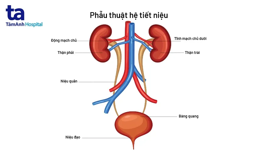 Học viên thực hành lái xe