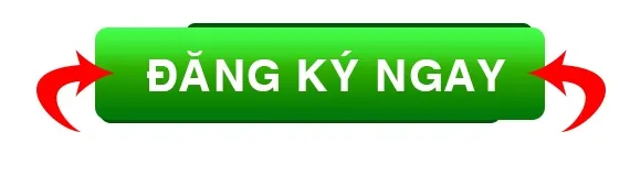 Hình ảnh đăng ký học lái xe ô tô giúp học viên dễ dàng thực hiện các thủ tục cần thiết