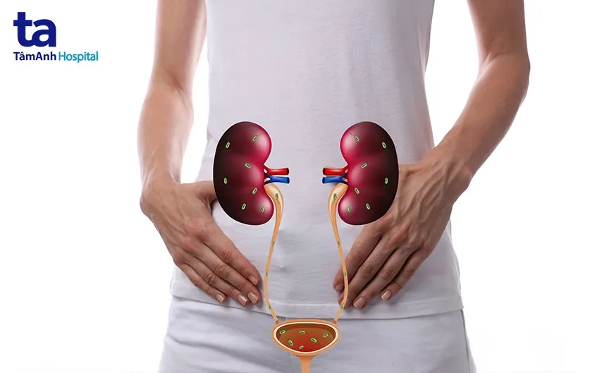 Thực hành trên đường trường