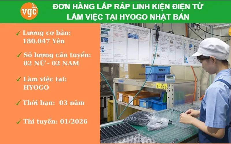 Đơn hàng lắp ráp linh kiện điện tử cho bình nóng lạnh làm việc tại Hyogo Nhật Bản
