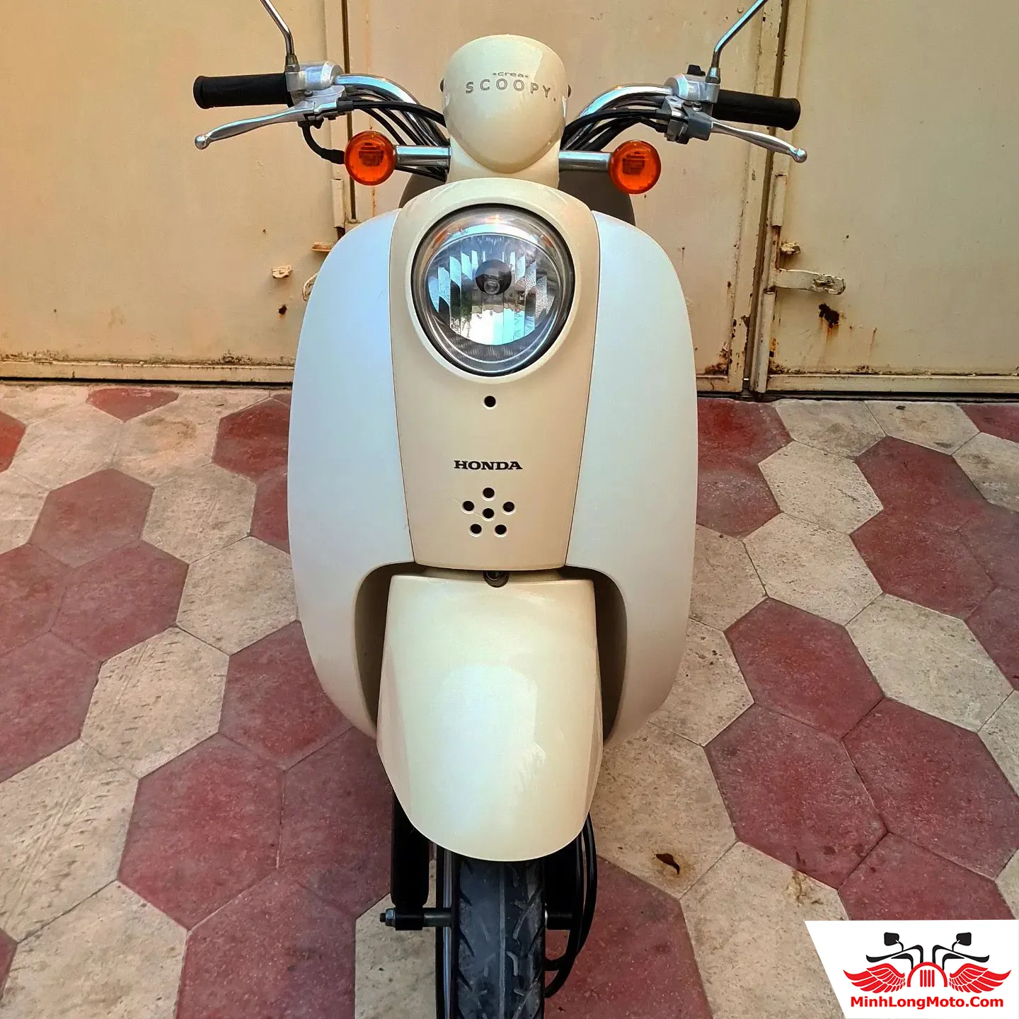 Đèn pha bán cầu đặc trưng