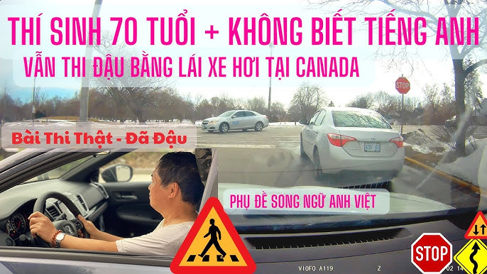 Bao Nhiêu Tuổi Được Thi Bằng Lái Xe Ô Tô? Các Hạng Bằng Lái Xe Hiện Nay