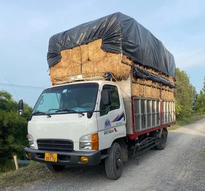 Xe tải Hyundai 3.5 tấn cũ giá rẻ đời thấp