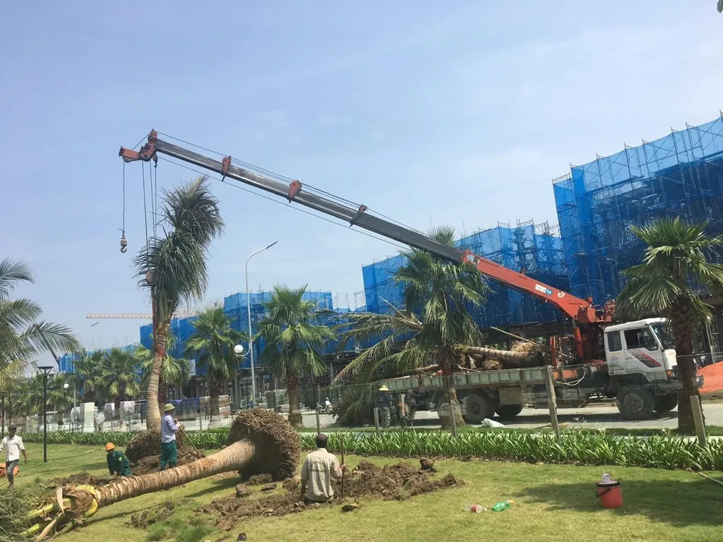 Ishida cho thuê cẩu tự hành tại Hà Nội