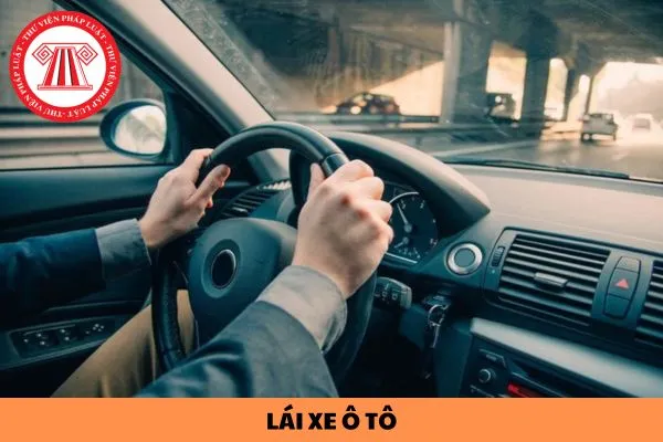 Độ tuổi lái xe ô tô và các quy định pháp luật liên quan