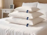 Gối cao su Oval phù hợp cho mọi tư thế nằm