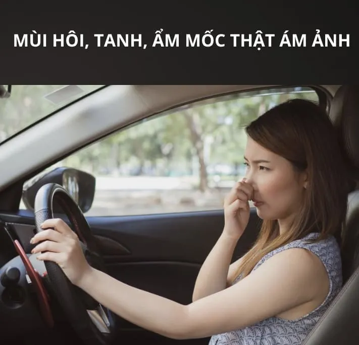 Mùi ẩm, mốc, hôi gây nhiều khó chịu cho hành khách