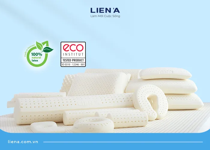 Trải nghiệm thực tế sản phẩm nệm cao su cao cấp trước khi quyết định mua trả góp