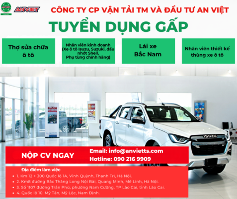 Tuyển Dụng Sửa Chữa Ô Tô Tại Lào Cai Với Thu Nhập Hấp Dẫn