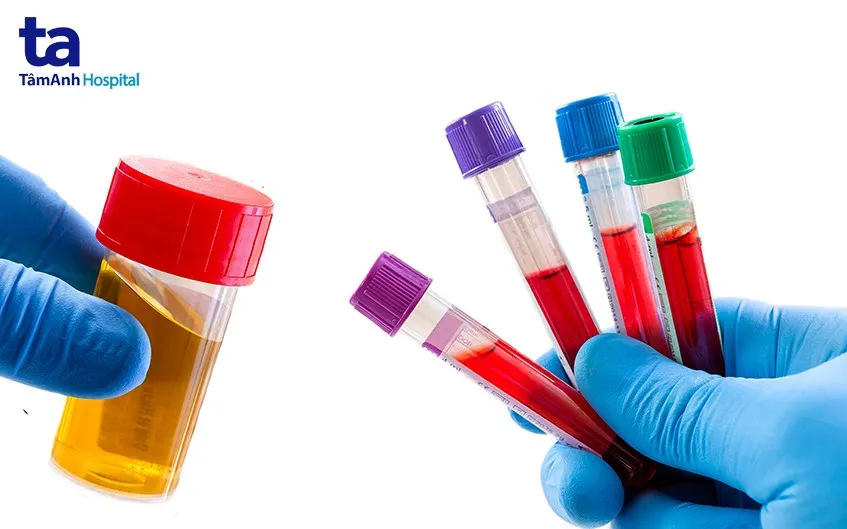 Nhà máy pin PowerCo của Volkswagen tại Salzgitter, Đức