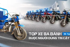 Mẫu xe ba bánh giá rẻ dưới 43 triệu hiện nay