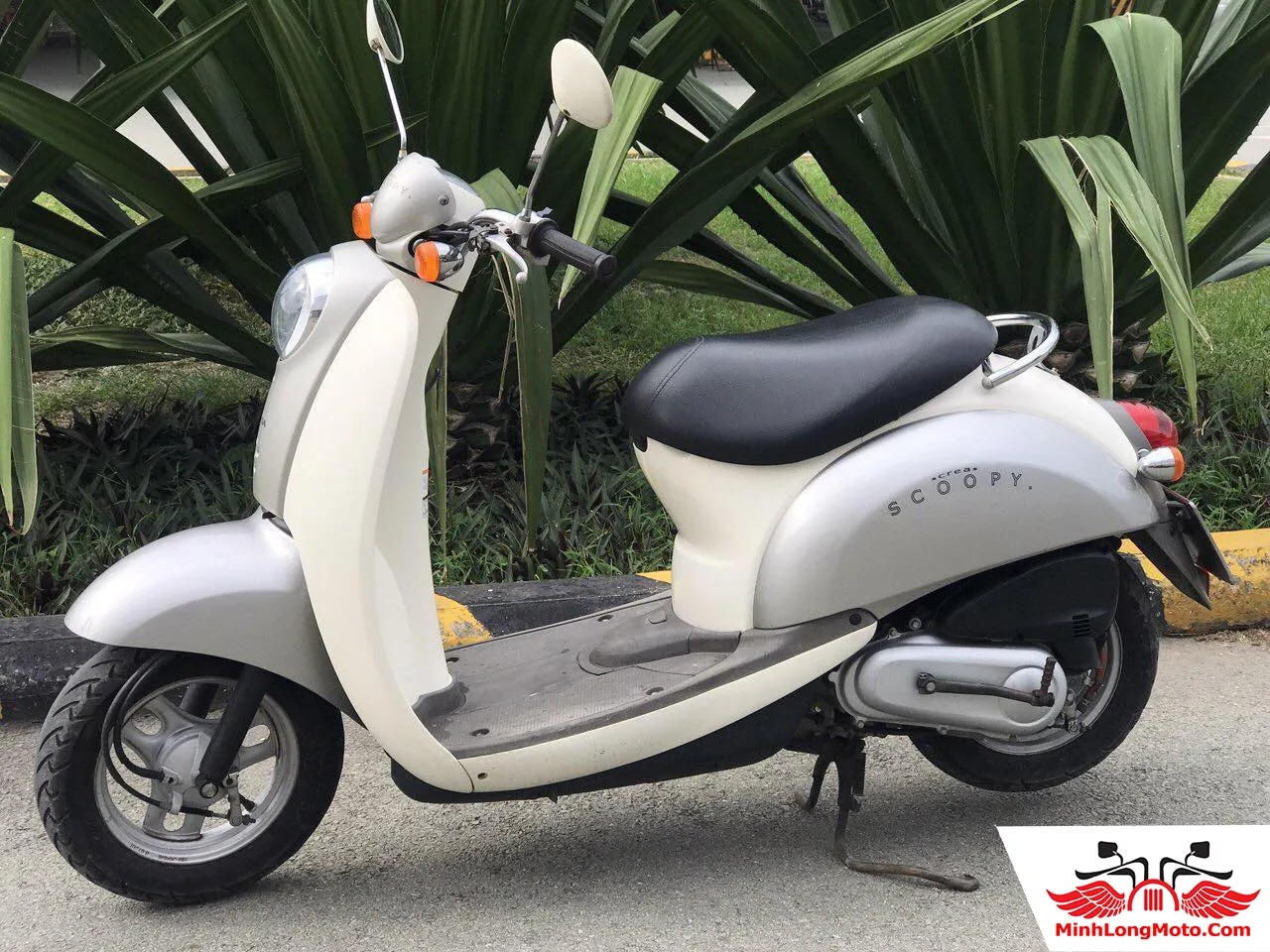 Xe Scoopy 50cc chủ yếu bán dưới dạng đã qua sử dụng